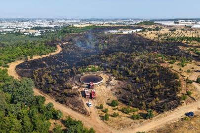Antalya'da orman yangını (3)
