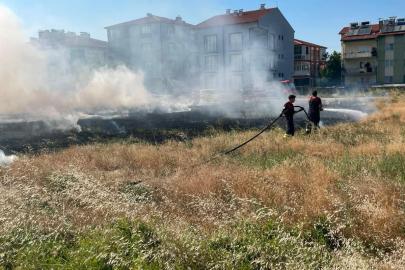 Arazi yangınlarında 19 dekar zarar gördü