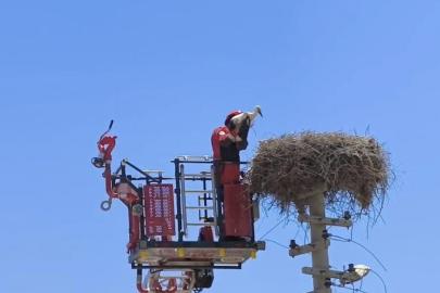 Ayağına poşet dolanan leylek kurtarıldı