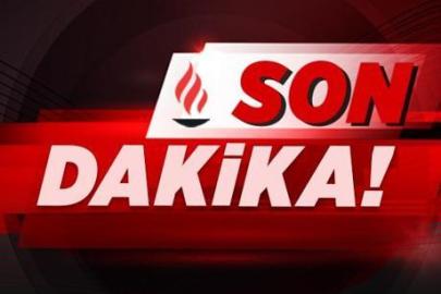 Silivri'de tarlada başlayan yangın rüzgarın etkisiyle büyüdü! TEM otoyolunda trafik durdu