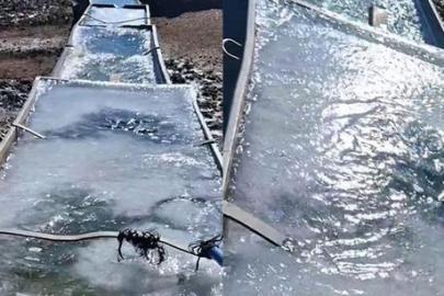 Dondurucu soğuklar bastırdı! Kent buzla kaplandı
